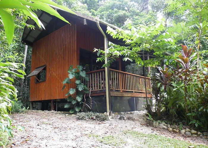 Epiphyte B & B