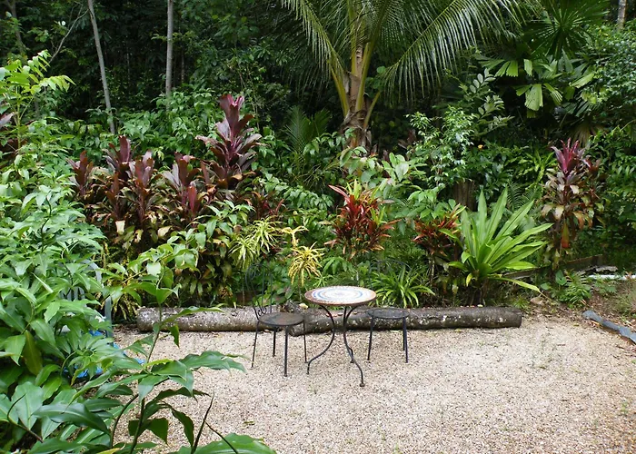 Epiphyte B & B
