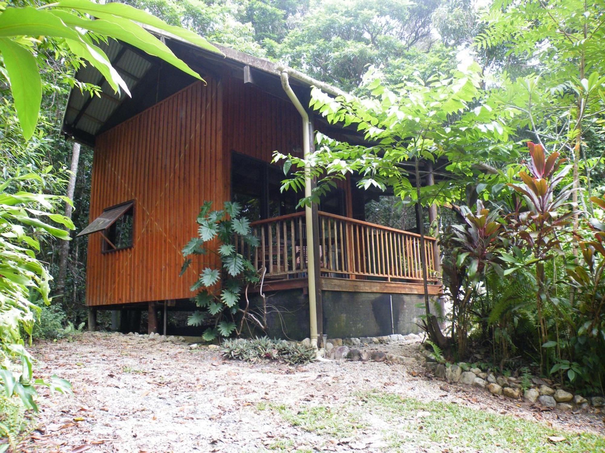 Bed & Breakfast Epiphyte